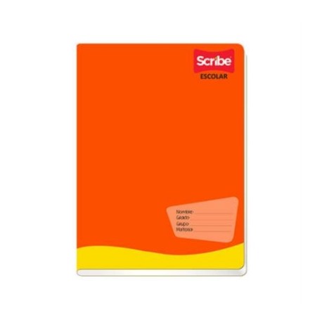 CUADERNO SCRIBE FRANCES GRAPADO C5 100 HJS C/48