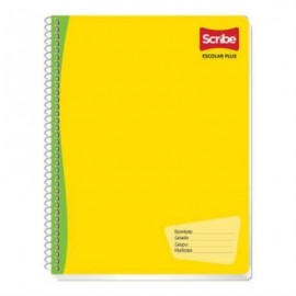 CUADERNO SCRIBE PROFESIONAL ESCOLAR RAYA 100 HJS C/36