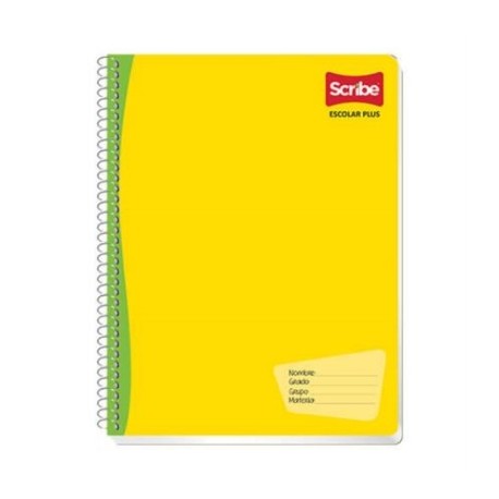 CUADERNO SCRIBE PROFESIONAL ESCOLAR RAYA 100 HJS C/36