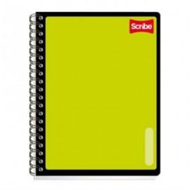 CUADERNO SCRIBE PROFESIONAL SERIE III 200 HJS RAYA 5 DIVISIONES C/