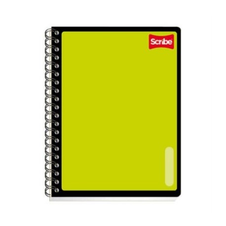 CUADERNO SCRIBE PROFESIONAL SERIE III 200 HJS RAYA 5 DIVISIONES C/