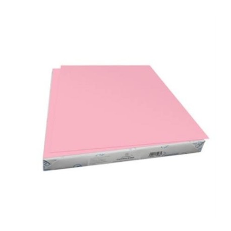 CARTULINA EUROMAC BRISTOL ROSA 50X65 PQT/100H