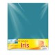 CARTULINA EUROMAC IRIS AZUL TURQ 50X65CM C/10