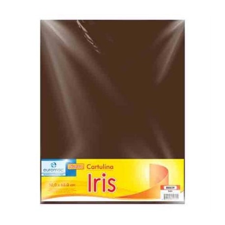 CARTULINA EUROMAC IRIS CAFE 50X65CM C/10