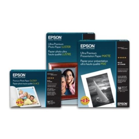 Papel Epson Standard Proofing (240) 17"x100