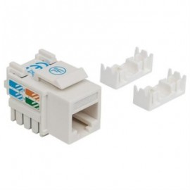 Jack Intellinet Cat 6 de Impacto(Keystone) Color Blanco