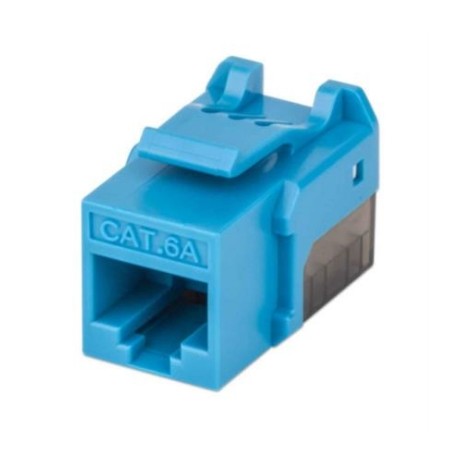 Jack Intellinet Keystone Cat6a de Impacto UTP Color Azul