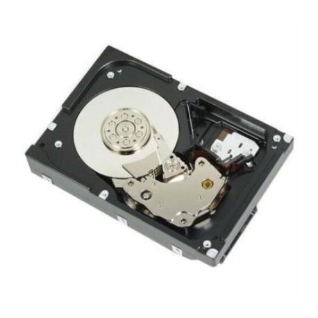 Disco Duro Dell 1 TB 7.2K RPM SATA 6Gbps 512n 3.5" Cabled HDD